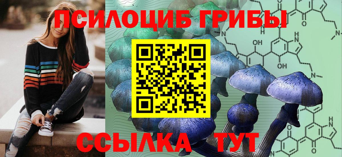 Галлюциногенные грибы Psilocybine cubensis Вичуга
