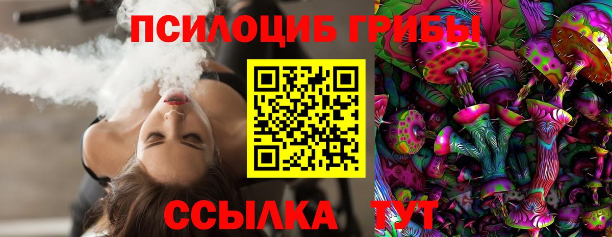 Псилоцибиновые грибы Magic Shrooms  Вход с VPN  продажа наркотиков  Вичуга 